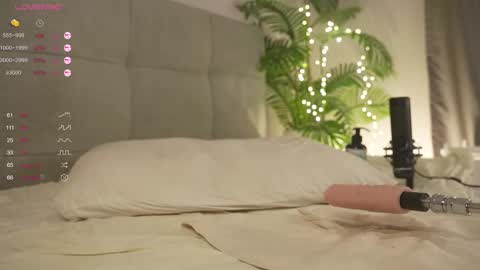 Snapshot of olsenspring chatting on February 2025 10:20:02 PM Lily dont forget to follow me good to see you all online show from February 2025 10:20:02 PM