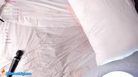 Snapshot of olsenspring chatting on February 2025 09:11:01 AM Lily dont forget to follow me good to see you all online show from February 2025 09:11:01 AM