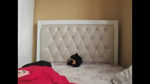 olwami4 online show from February 2026 06:57:02 AM