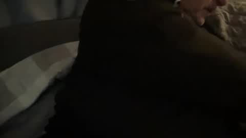 onthedlhere online show from December 2024 12:00:02 AM