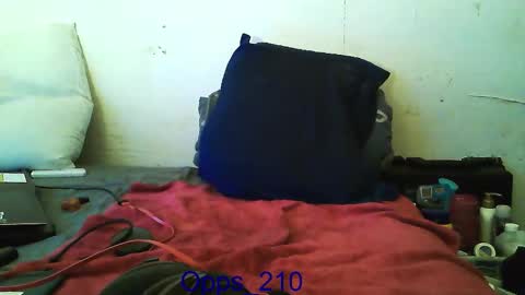 Snapshot of opps_210 chatting on November 2025 06:13:02 AM Stepper online show from November 2025 06:13:02 AM