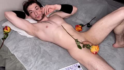 origamicat online show from January 2025 09:13:01 PM