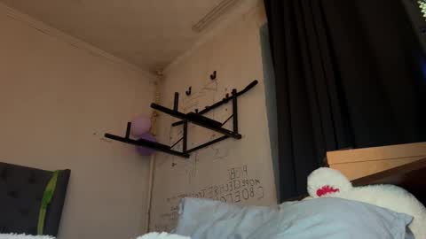 origamicat online show from January 2026 09:07:02 PM