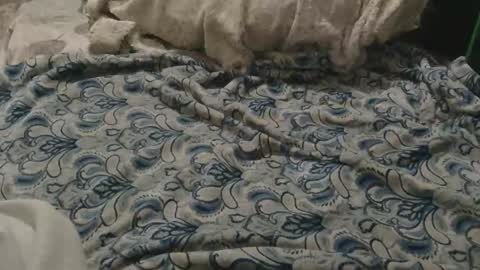 originalcali95 online show from February 2026 03:27:02 AM