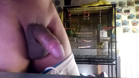 Snapshot of orlandovilla48 chatting on October 2025 11:55:02 AM orlandovilla48 online show from October 2025 11:55:02 AM