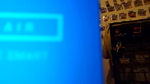 Snapshot of orlandovilla48 chatting on November 2025 12:31:02 PM orlandovilla48 online show from November 2025 12:31:02 PM