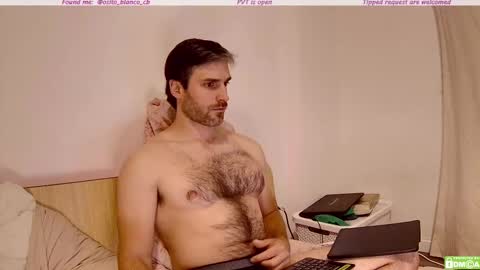 Osito Blanco online show from November 2025 12:55:01 AM