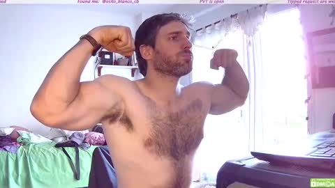 Osito Blanco online show from November 2025 08:19:02 PM