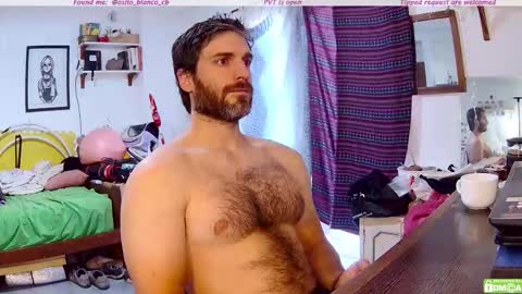 Osito Blanco online show from December 2025 11:19:01 AM