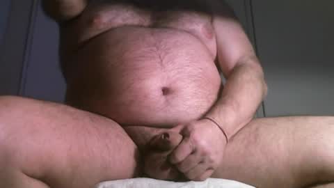 Oso Licencioso online show from June 2026 05:31:02 AM