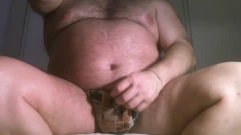 Oso Licencioso online show from June 2026 03:24:02 AM
