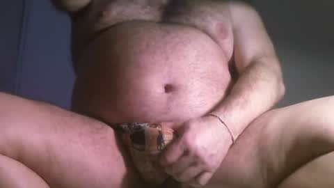 Oso Licencioso online show from July 2026 06:54:01 PM