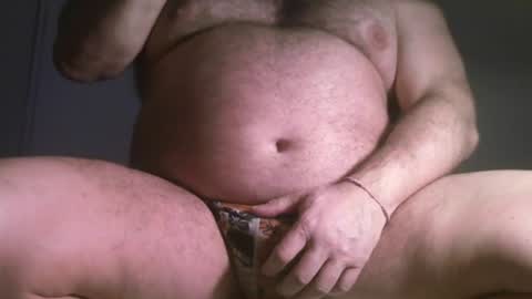 Oso Licencioso online show from July 2026 03:56:02 AM