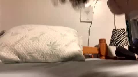 ozzy727 online show from February 2026 02:53:02 AM