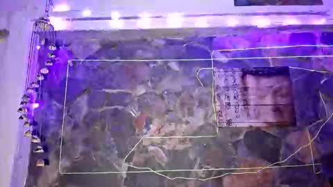 pablouyu online show from January 2025 04:18:02 AM