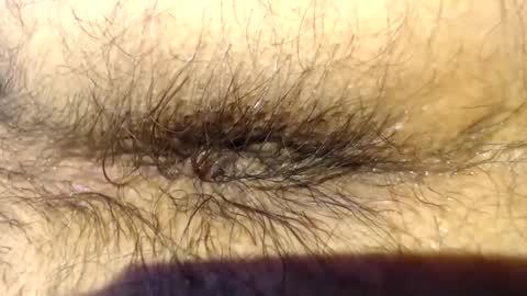 pack2 online show from March 2026 12:18:01 PM