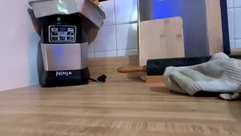 Snapshot of paint_naked chatting on January 2026 04:51:01 AM Eros online show from January 2026 04:51:01 AM