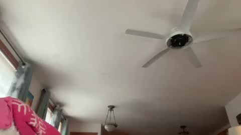 paisleysnowxo online show from October 2025 05:36:02 PM