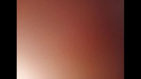 Snapshot of pala3441 chatting on January 2025 06:33:02 PM PALA online show from January 2025 06:33:02 PM