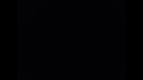 Snapshot of pala3441 chatting on January 2025 10:06:02 PM PALA online show from January 2025 10:06:02 PM