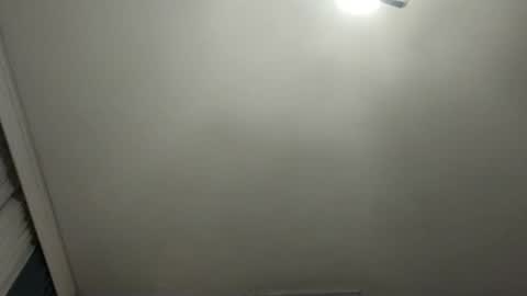 Snapshot of pala3441 chatting on January 2025 02:31:02 AM PALA online show from January 2025 02:31:02 AM