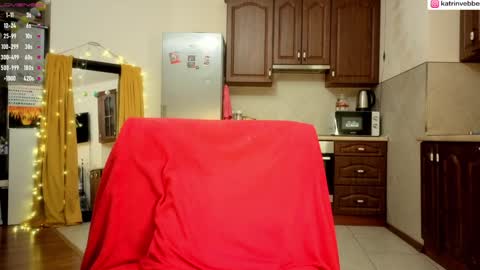 Snapshot of palach2323 chatting on January 2025 01:48:01 AM Katrin Vebber online show from January 2025 01:48:01 AM