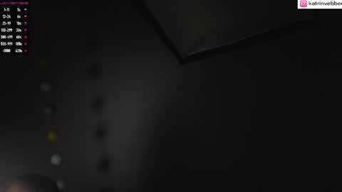 Snapshot of palach2323 chatting on September 2025 10:26:02 AM Katrin Vebber online show from September 2025 10:26:02 AM