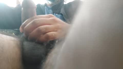 palatco online show from January 2026 03:16:01 PM