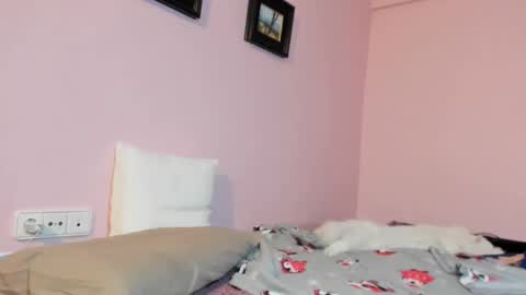 Snapshot of palaustudio chatting on January 2025 08:24:01 AM Merce online show from January 2025 08:24:01 AM