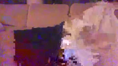 pallavolista73 online show from May 2026 02:18:02 AM