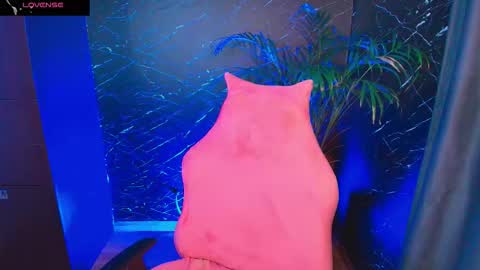 Snapshot of palo_santo06 chatting on February 2026 07:35:01 AM Palo Santo online show from February 2026 07:35:01 AM