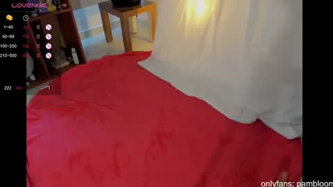     online show from March 2025 09:08:02 PM