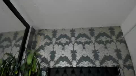  Pamela online show from June 2026 11:18:01 PM
