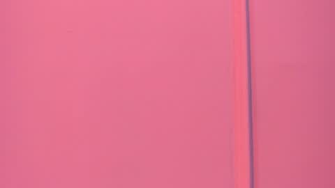  P A M  online show from July 2026 04:03:01 AM