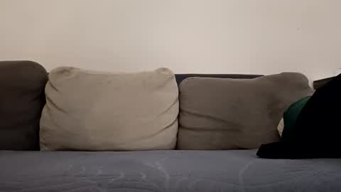 Snapshot of pamid215 chatting on October 2025 03:33:02 PM angel hris online show from October 2025 03:33:02 PM