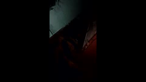 Snapshot of pamid215 chatting on November 2025 11:47:02 PM angel hris online show from November 2025 11:47:02 PM