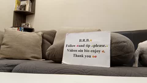 angel hris online show from November 2025 04:21:02 PM