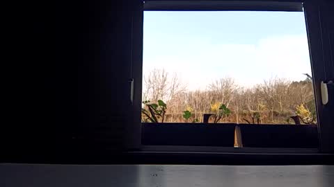 angel hris online show from April 2026 03:43:01 PM