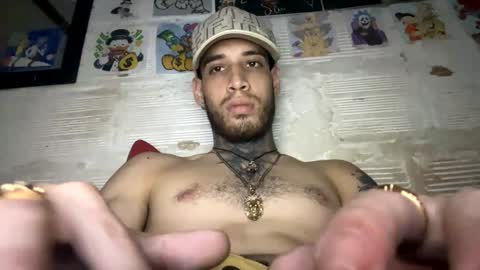 Snapshot of panthers_room chatting on January 2025 08:03:02 PM panthers_room online show from January 2025 08:03:02 PM