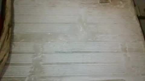 Snapshot of panthers_room chatting on October 2025 08:54:02 AM panthers_room online show from October 2025 08:54:02 AM