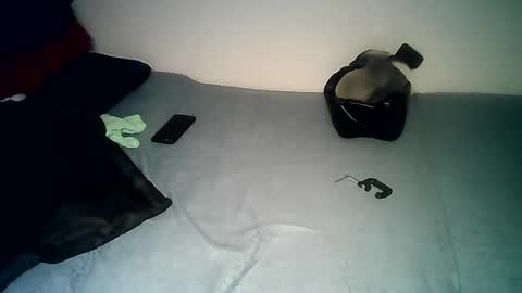 PantsLessTraveler online show from December 2024 07:46:02 PM