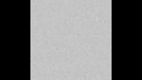 PantsLessTraveler online show from December 2024 07:34:02 PM