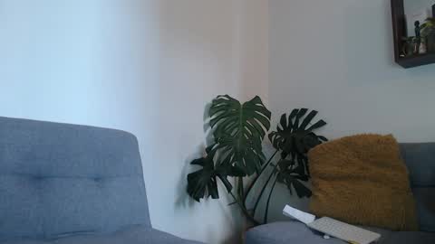 pantyhose_xxx_ online show from January 2025 09:43:01 PM