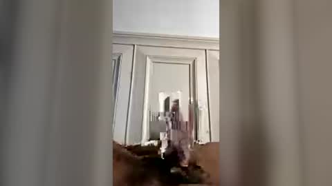 papisweet98 online show from July 2026 11:57:01 AM