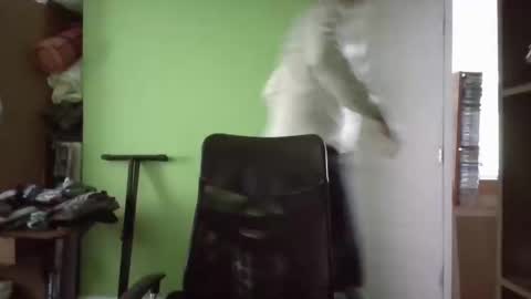 Papito online show from March 2025 05:24:02 PM