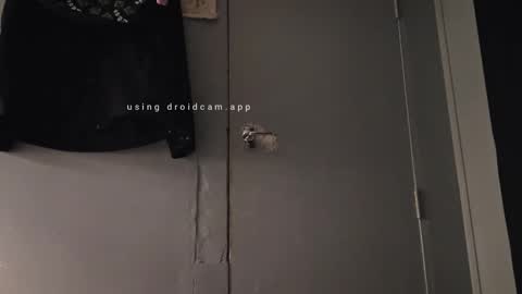 parrs_06 online show from November 2025 03:24:02 PM
