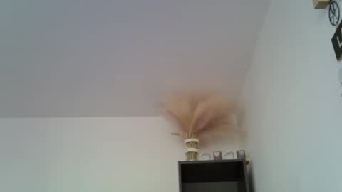 Snapshot of patrick5275 chatting on December 2024 11:44:02 AM patrick5275 online show from December 2024 11:44:02 AM