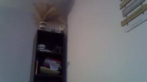 Snapshot of patrick5275 chatting on February 2025 07:00:02 AM patrick5275 online show from February 2025 07:00:02 AM