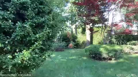 Andreea online show from June 2026 05:32:02 AM