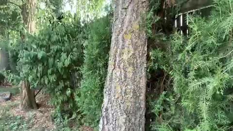 Andreea online show from June 2026 03:46:02 PM